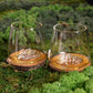 Set of 2 Glasses TOPOGRAPHIC Mt Blanc / Everest